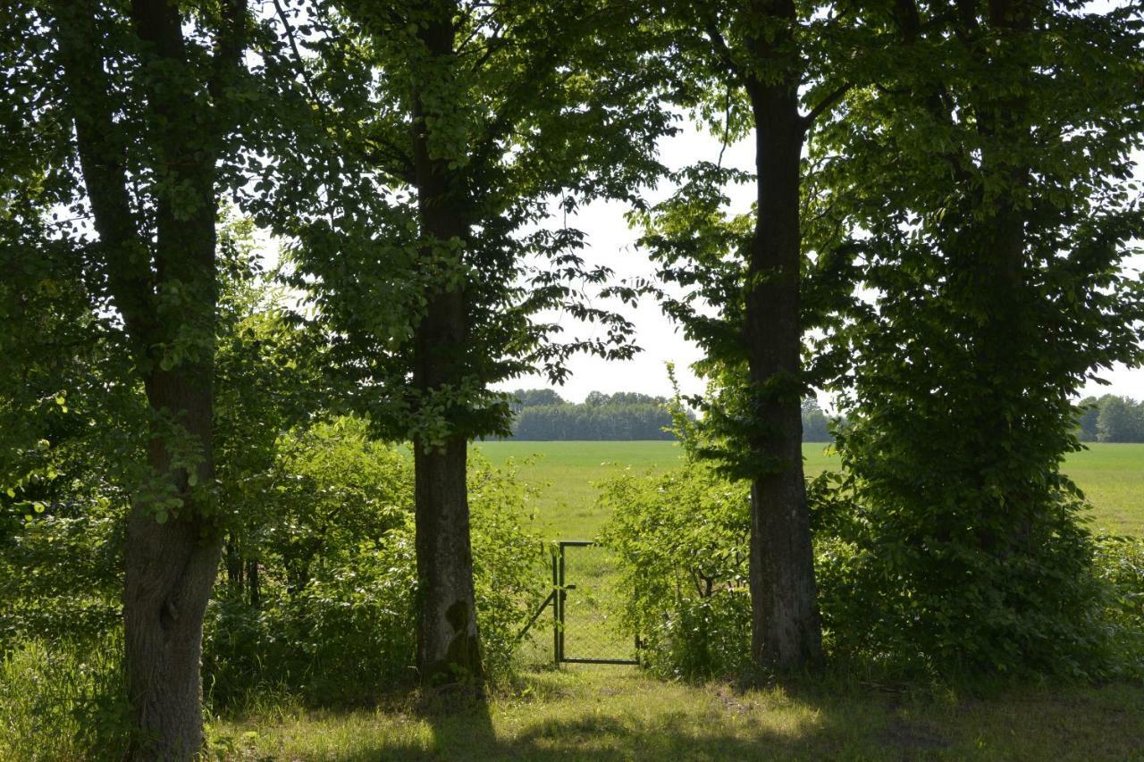 Mamrowisko Villa Wegorzewo Bagian luar foto